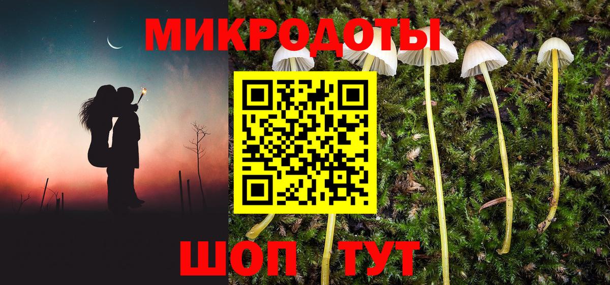 где купить наркоту  Псилоцибиновые грибы GOLDEN TEACHER  Вход с VPN  Кызыл  Галлюциногенные грибы Cubensis 
